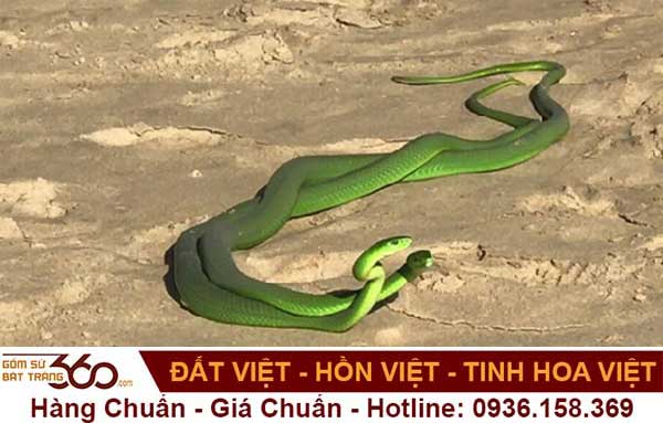 Rắn bò vào nhà nên đánh con gì khi mơ thấy