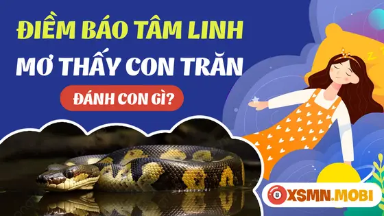 Mơ thấy 2 con trăn nên đánh số gì