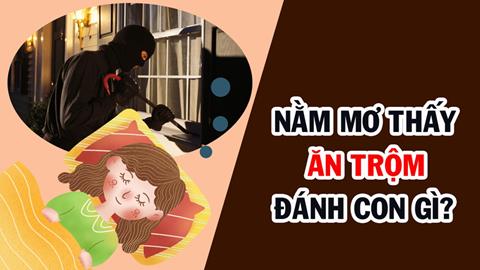 Nằm mơ thấy ăn trộm nên đánh đề số mấy