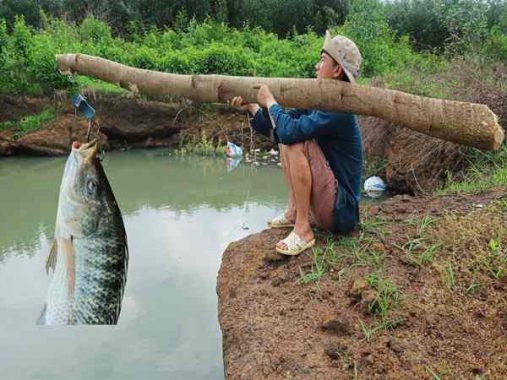Người đang bắt cá dưới ao trong giấc mơ