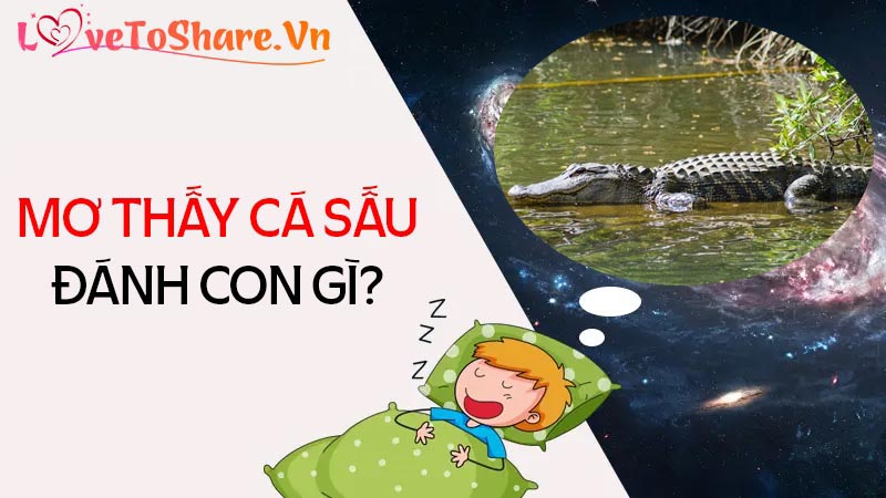 Nằm mơ thấy cá sấu đánh đề số gì