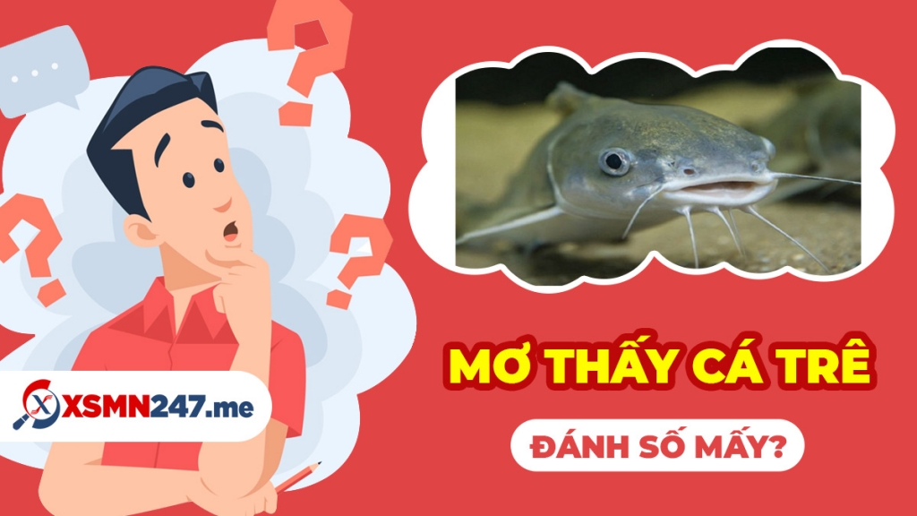 Mơ thấy cá trê nên đánh số gì may mắn