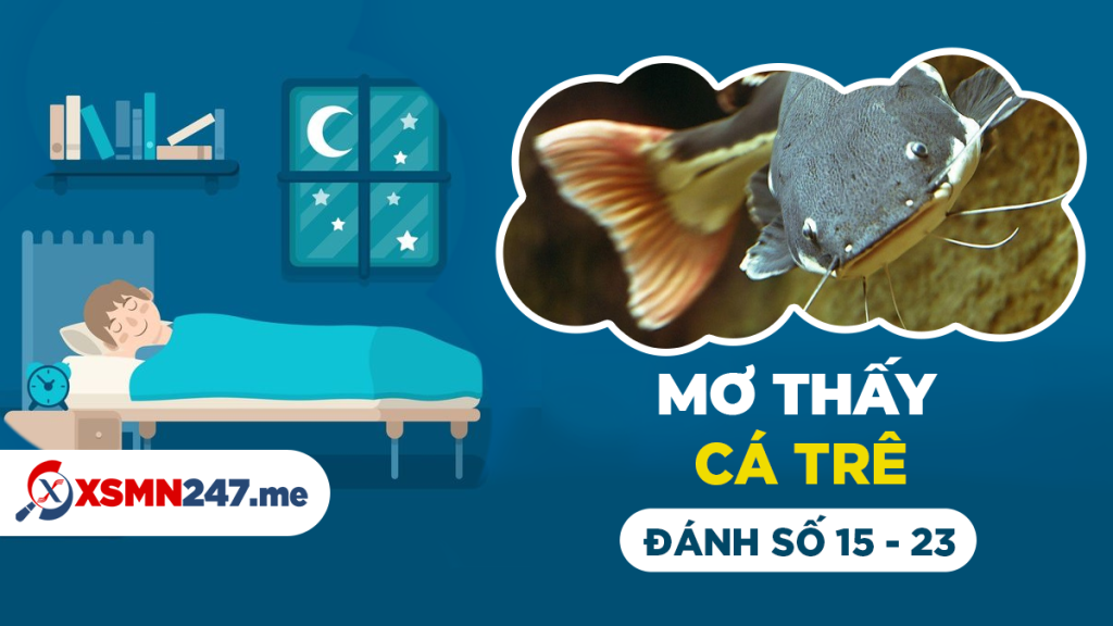Mơ thấy cá trê nên đánh số gì may mắn