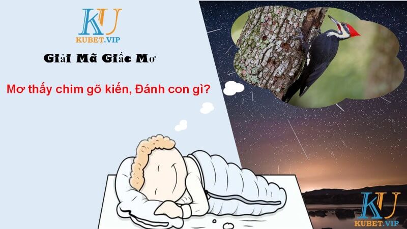 Mơ thấy bắt được chim nên đánh số gì
