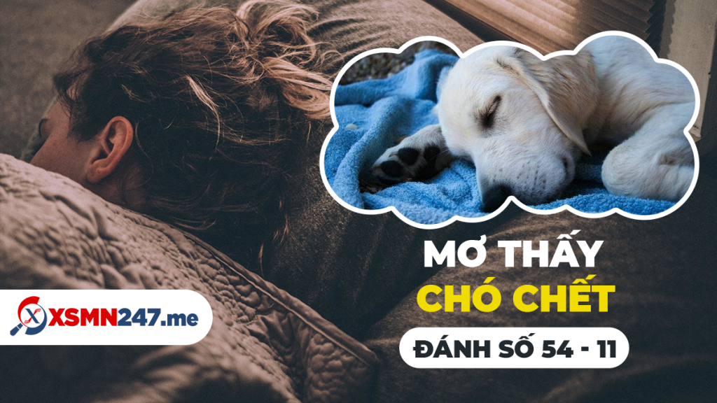 Chó chết trong giấc mơ ý nghĩa gì