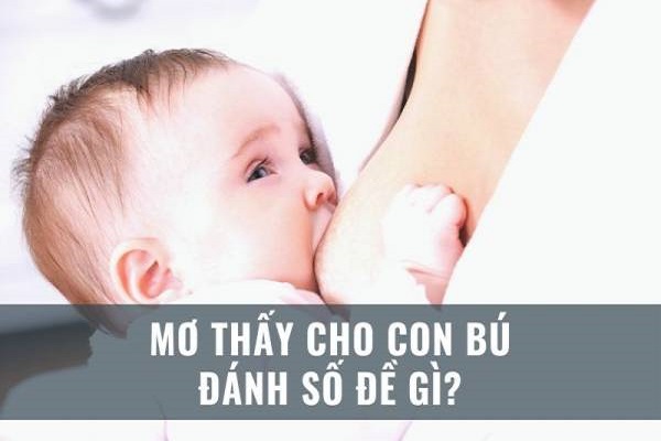 Mơ thấy cho con bú sữa chảy đánh đề số gì