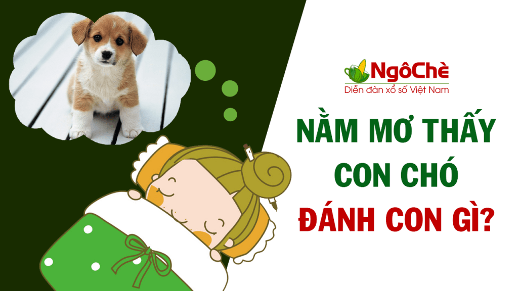 Chó con dễ thương trong giấc mơ và con số may mắn