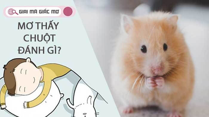 Chuột xuất hiện trong giấc mơ đánh đề số gì
