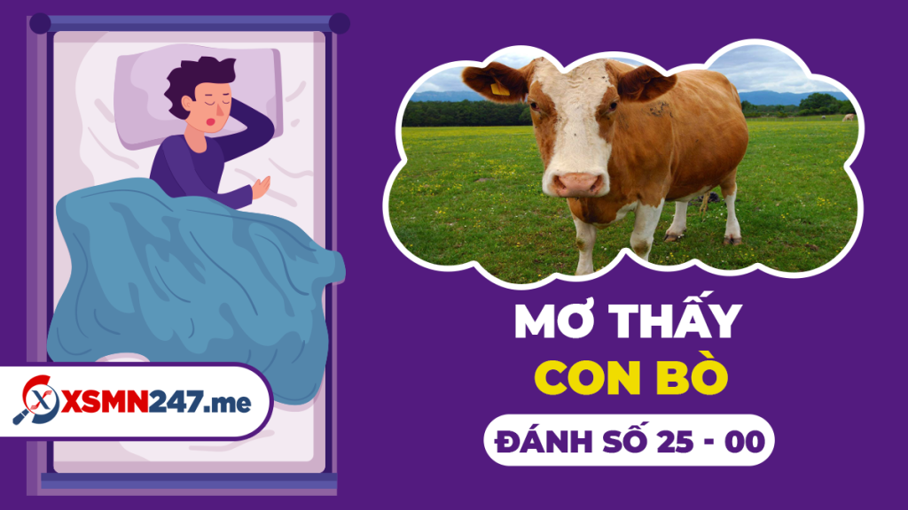 Phụ nữ mơ thấy mình có bầu nên đánh con gì