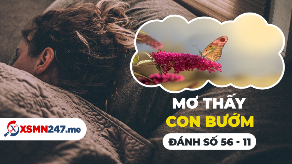 Bắt tôm trong giấc mơ nên đánh con gì