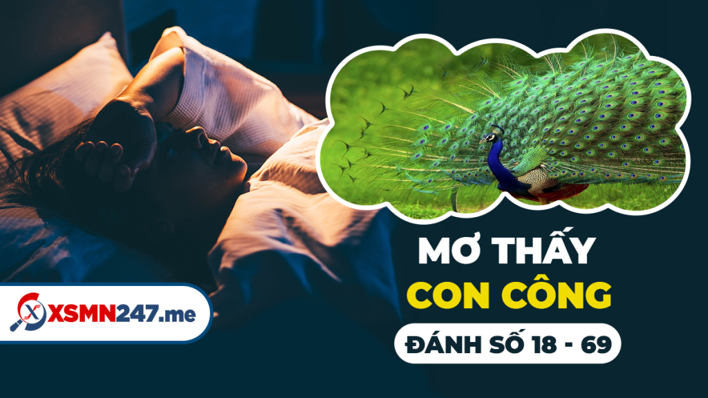 Nằm mơ thấy số nên đánh con gì chuẩn nhất