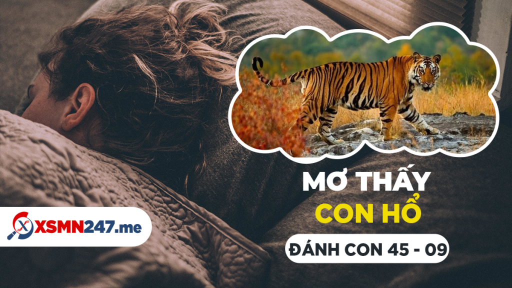 Mơ thấy đề con nên đánh số mấy chuẩn nhất