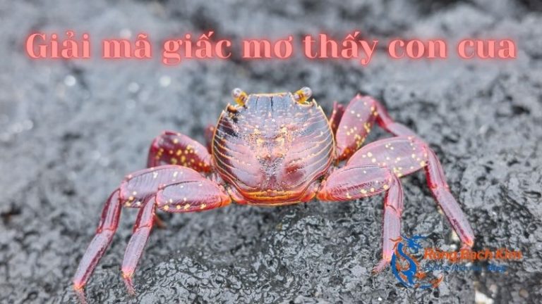 Mơ thấy nhiều cua đánh đề số gì dễ trúng