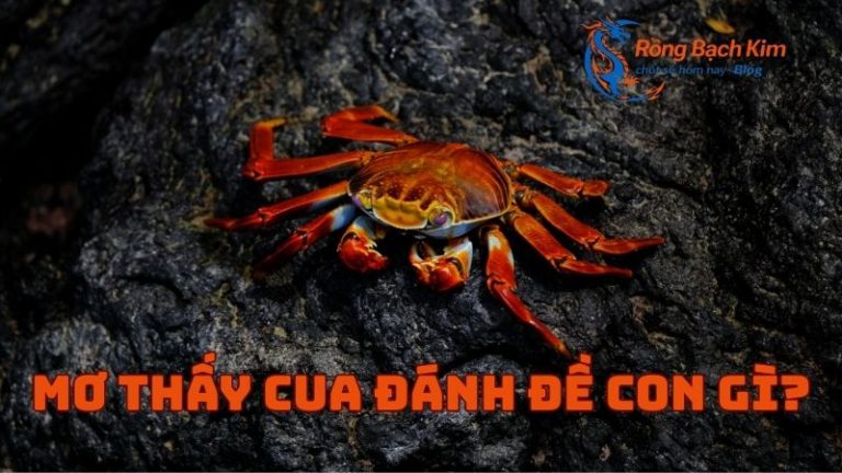 Con cua và ý nghĩa giấc mơ đánh đề