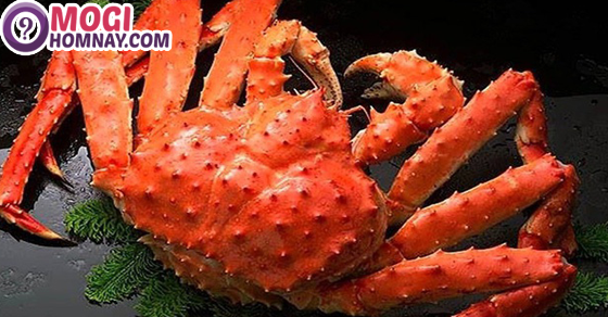 Người nằm mơ thấy cua trong giấc ngủ ban đêm