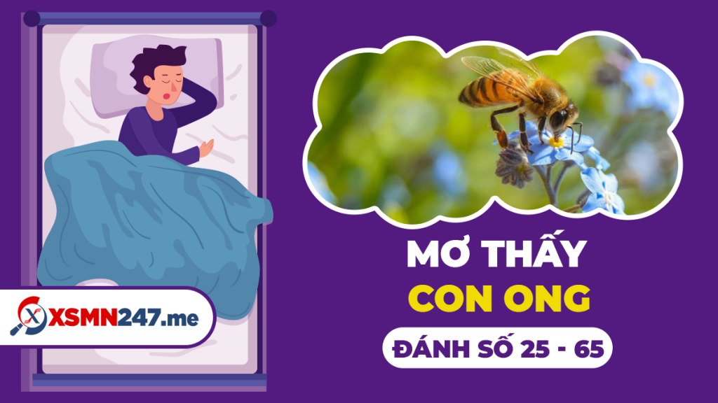 Người nằm mơ thấy đánh đề nên đánh con gì