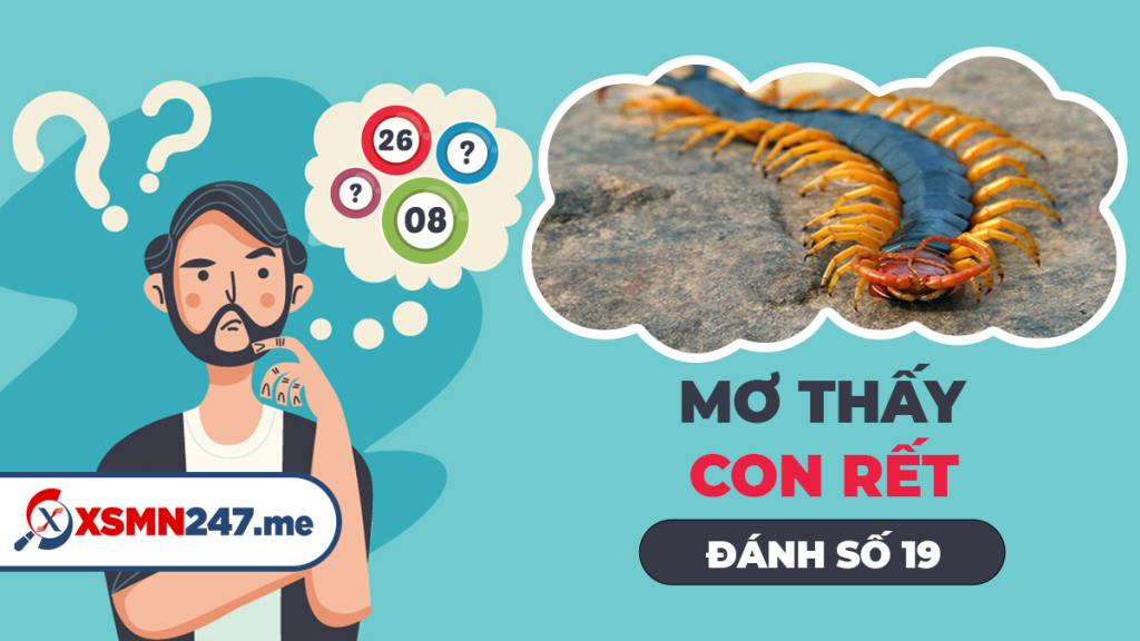 Nằm mơ thấy con rết nên đánh đề số mấy
