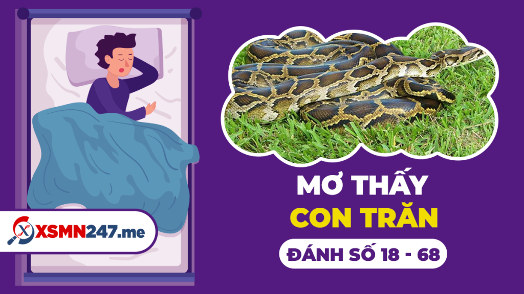 Mơ thấy phân nên đánh đề số nào chuẩn