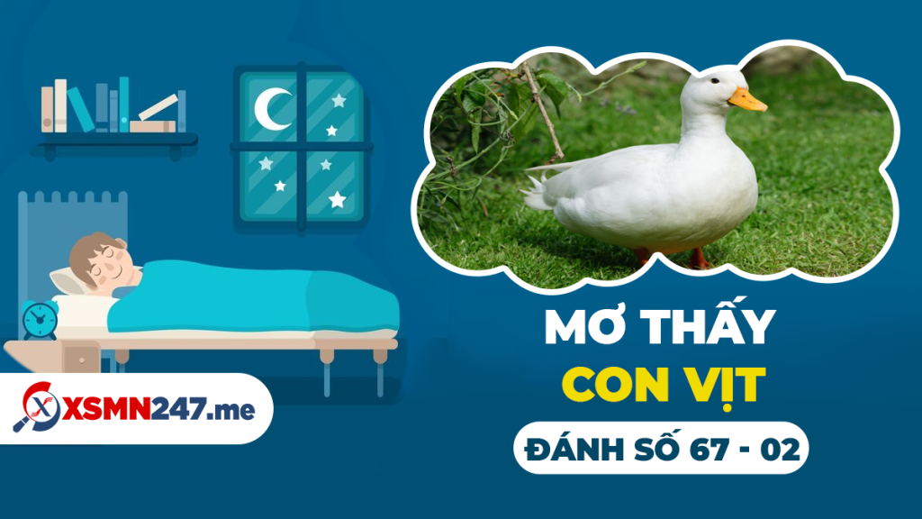 Đàn vịt trong giấc mơ và con số may mắn