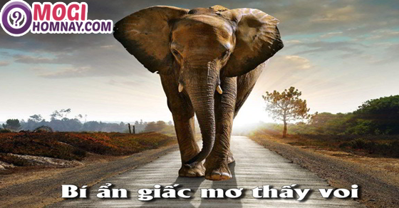 Voi xuất hiện trong giấc mơ đánh đề số mấy