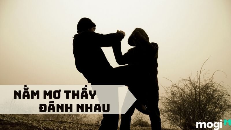 Nằm mơ thấy người khác đánh nhau đánh đề con gì