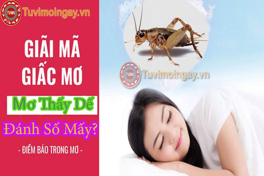 Ma nữ trong giấc mơ đánh đề số gì