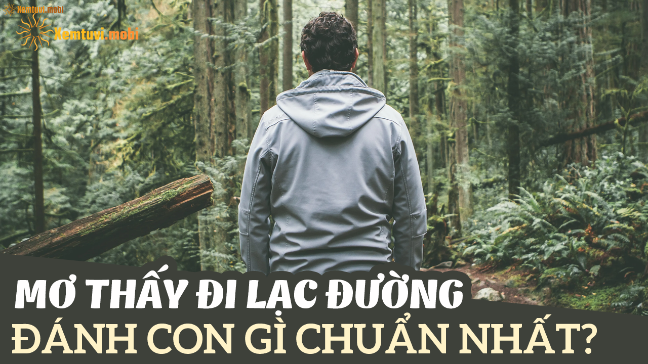 Con đường dài xuất hiện trong giấc mơ ban đêm