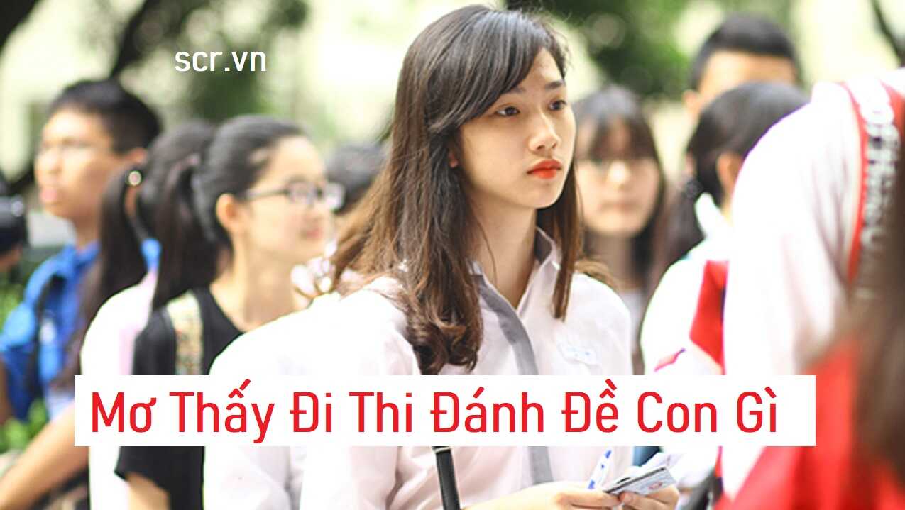 Hình ảnh giấc mơ về kỳ thi căng thẳng