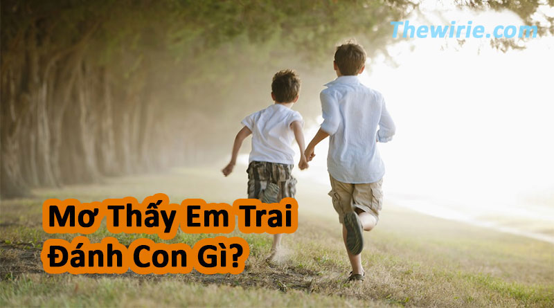 Em bé trai mơ thấy đánh con gì chuẩn nhất