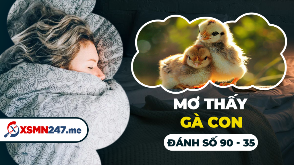 Đàn gà trong giấc mơ và các con số đề liên quan