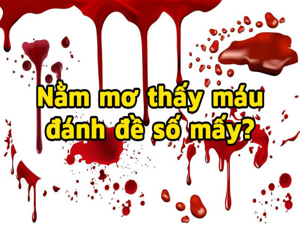Mơ thấy máu đỏ đánh con gì may mắn