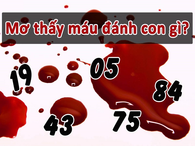 Mơ thấy máu đánh đề con gì chuẩn xác nhất