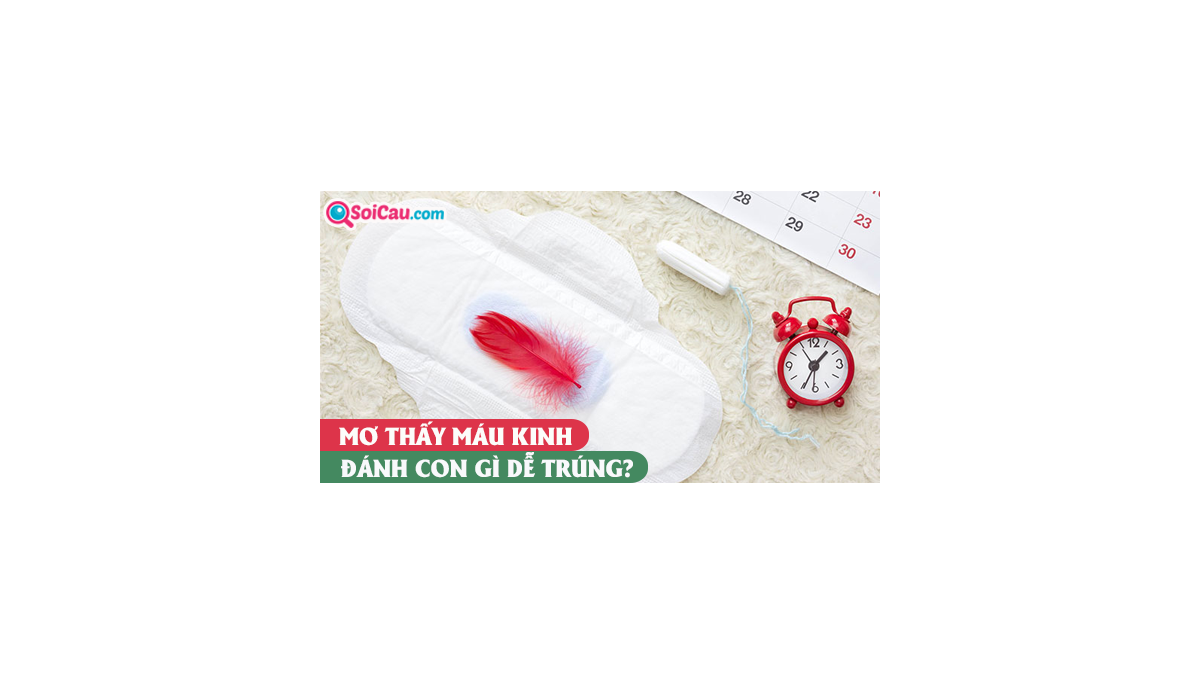 Máu kinh nguyệt và ý nghĩa khi mơ thấy đánh đề