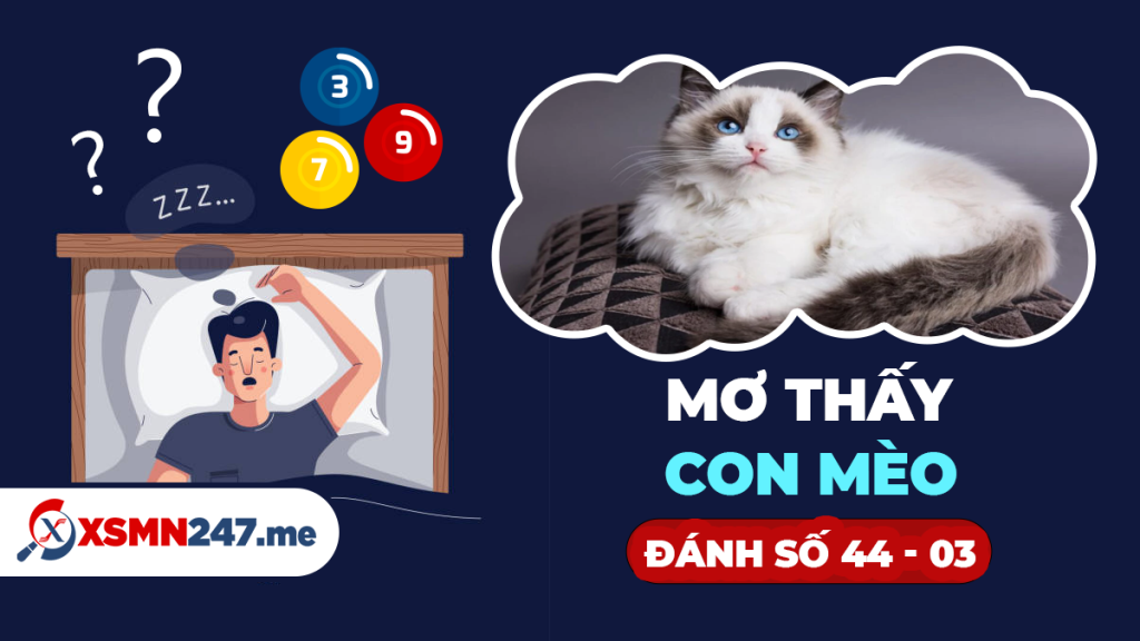 Mèo con dễ thương và ý nghĩa giấc mơ đánh đề