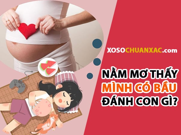 Người phụ nữ nằm mơ thấy mình mang thai đánh đề số gì