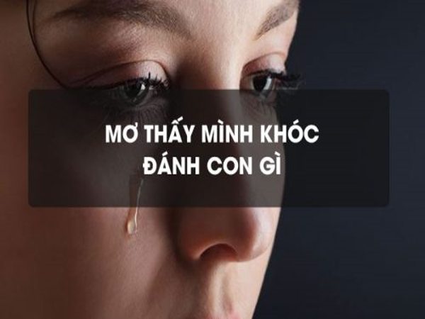 Người nằm mơ thấy mình khóc nên đánh con gì
