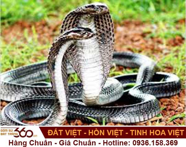 Rắn xuất hiện trong giấc mơ nên đánh con gì