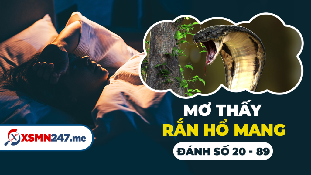 Rắn hổ mang trong giấc mơ và con số may mắn