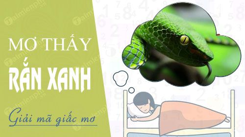 Mơ thấy nải chuối xanh nên đánh con gì