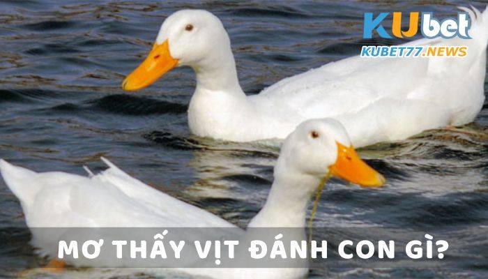 Vịt con trong giấc mơ và con số may mắn