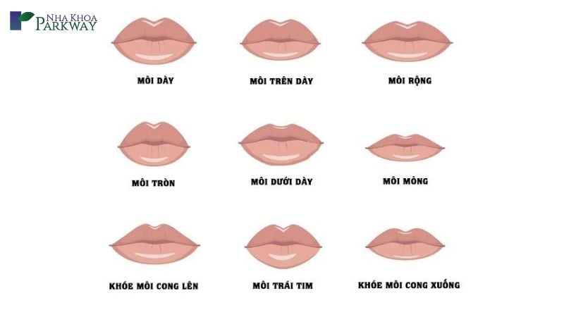 Ý nghĩa của môi dày ở mỗi người