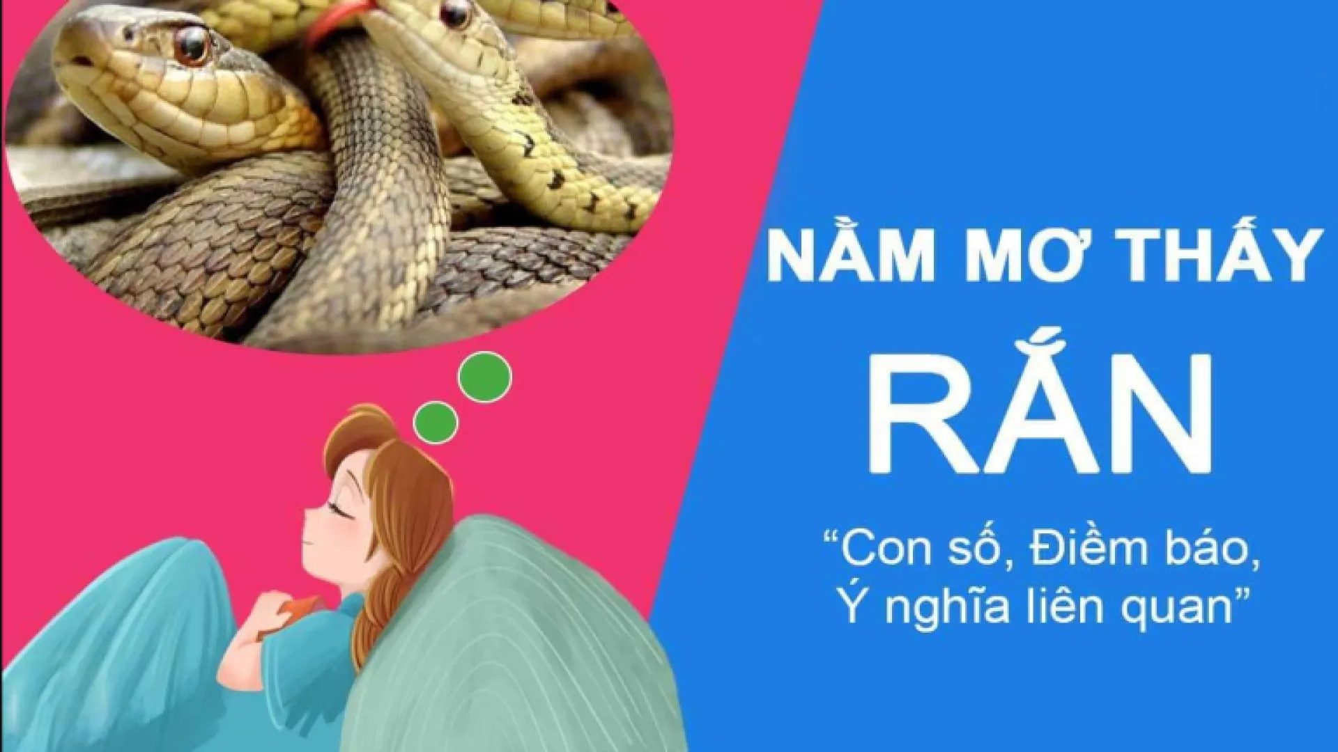 Rắn trắng xuất hiện trong giấc mơ ban đêm