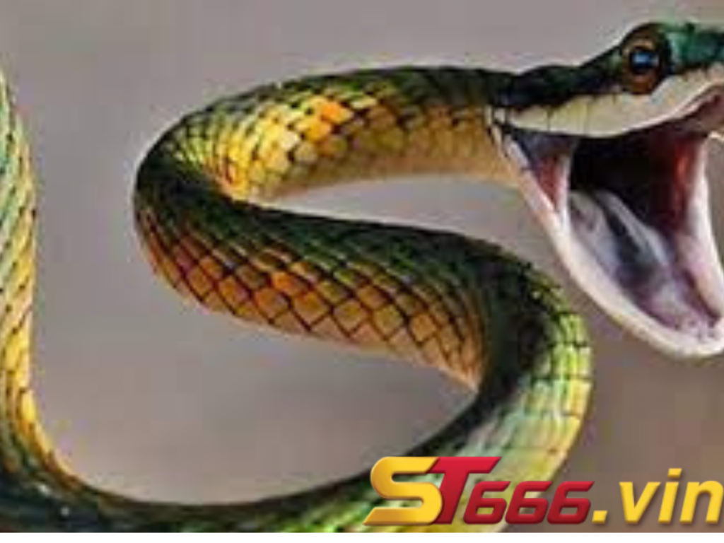 Bà bầu nằm mơ thấy rắn đánh đề số mấy