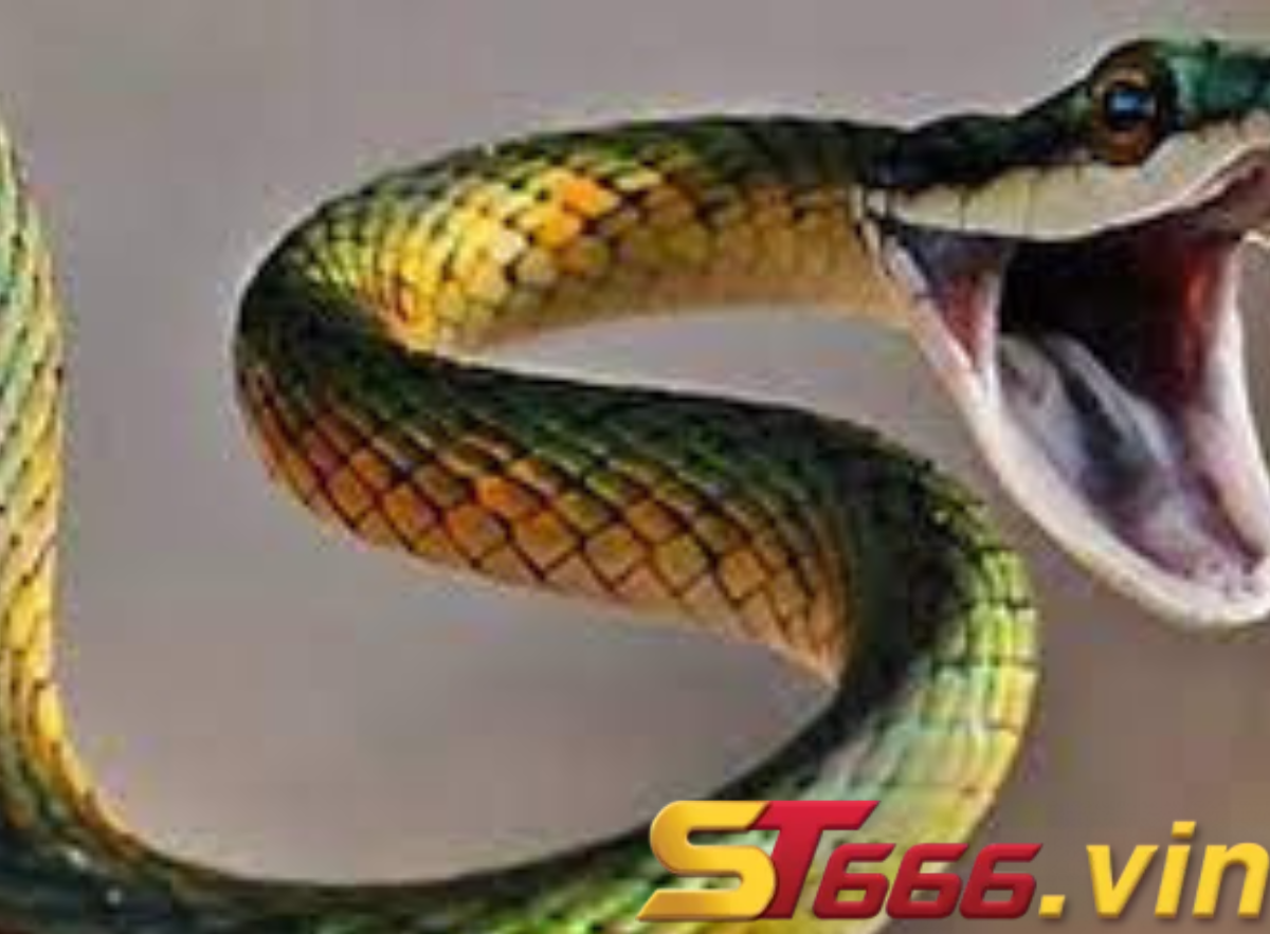 Rắn xuất hiện trong giấc mơ nên đánh số gì