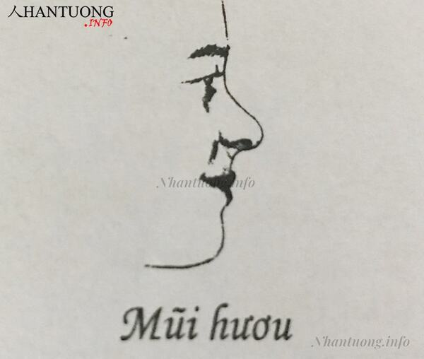 Hình ảnh tướng môi đẹp trong nhân tướng học