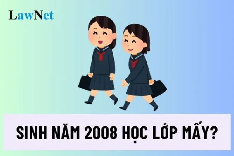 Học sinh sinh năm 2008 học lớp mấy năm 2026