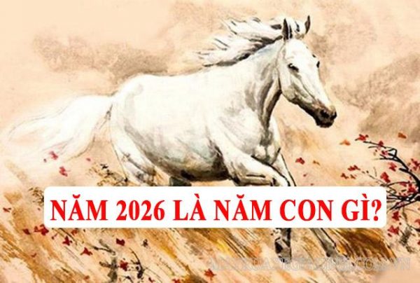 Tử vi nam Giáp Ngọ 2014 năm 2026 chi tiết