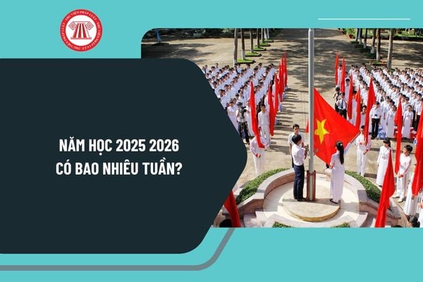 Học sinh sinh năm 2019 học lớp mấy năm 2026