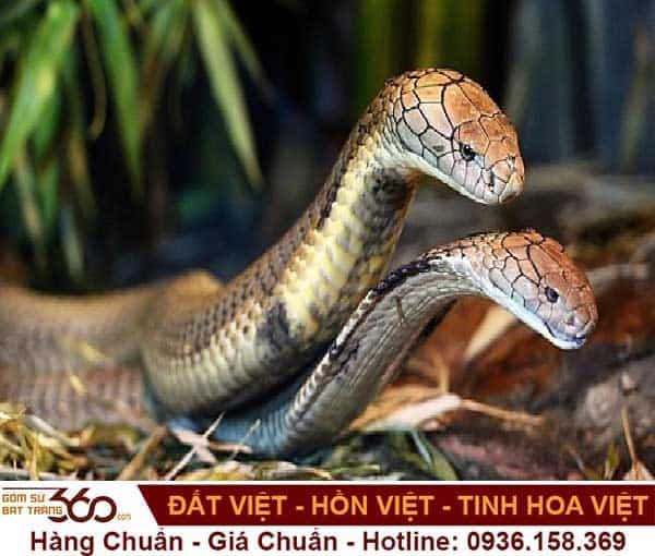 Mơ thấy 2 con trâu đen đánh đề số mấy
