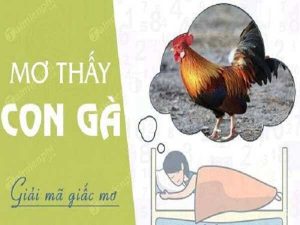 Gà trong giấc mơ và con số may mắn đánh đề